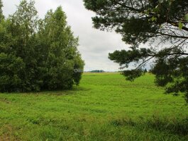 Sklypas Panevėžio rajono sav., Šilagalyje