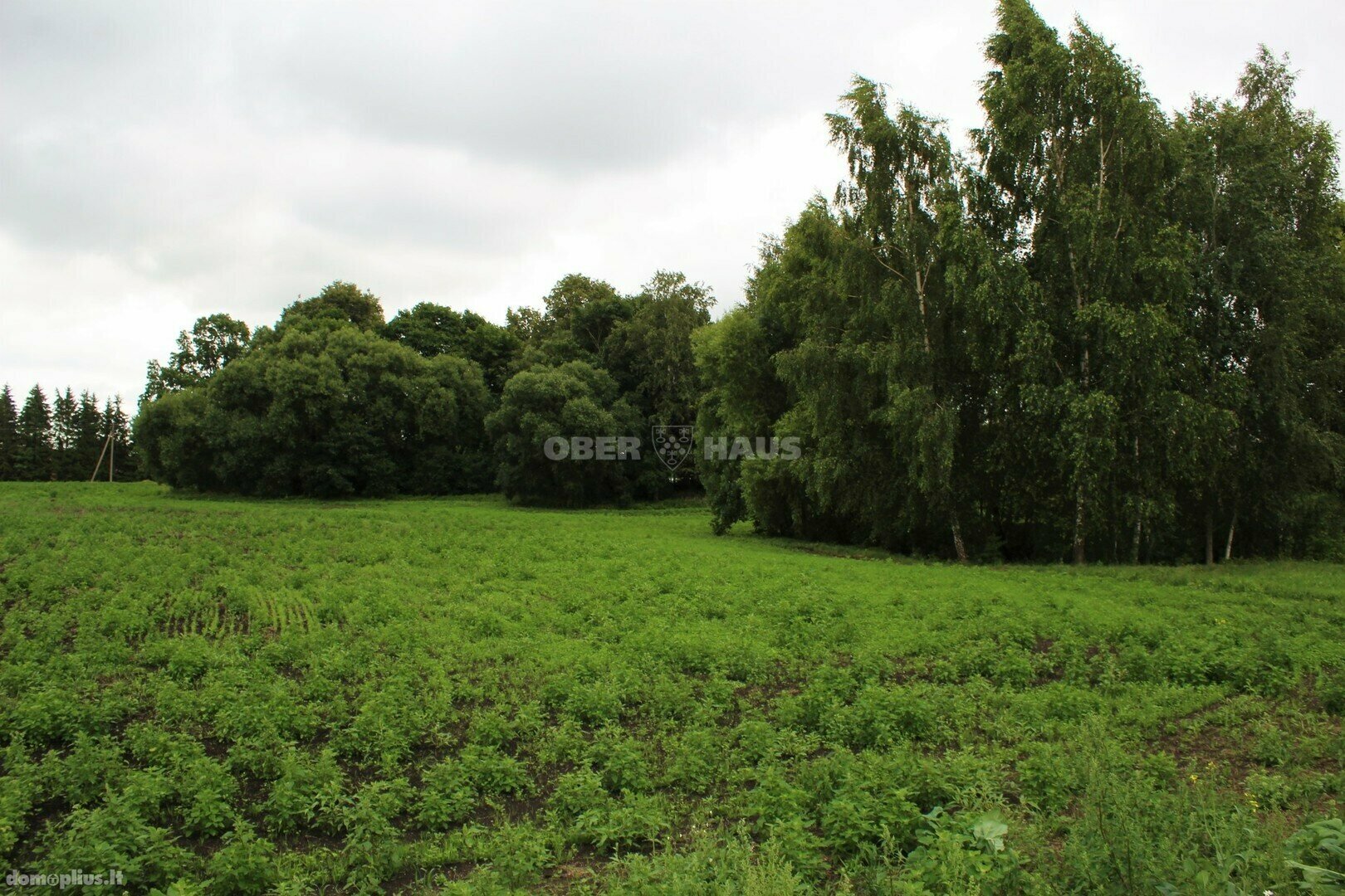 Land for sale Panevėžio rajono sav., Šilagalyje