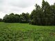 Land for sale Panevėžio rajono sav., Šilagalyje (2 picture)
