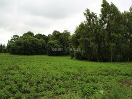 Land for sale Panevėžio rajono sav., Šilagalyje