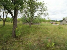 Участок Panevėžio rajono sav.
