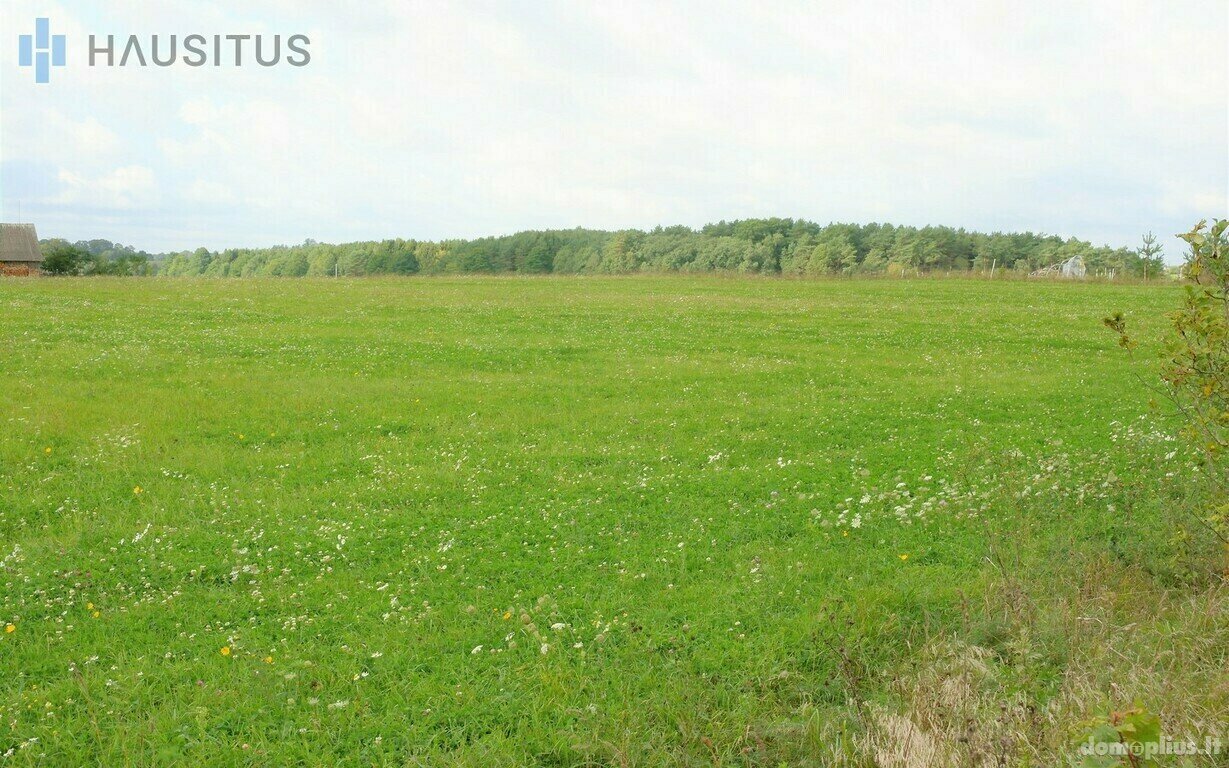 Land for sale Kupiškio rajono sav., Bagdonyse