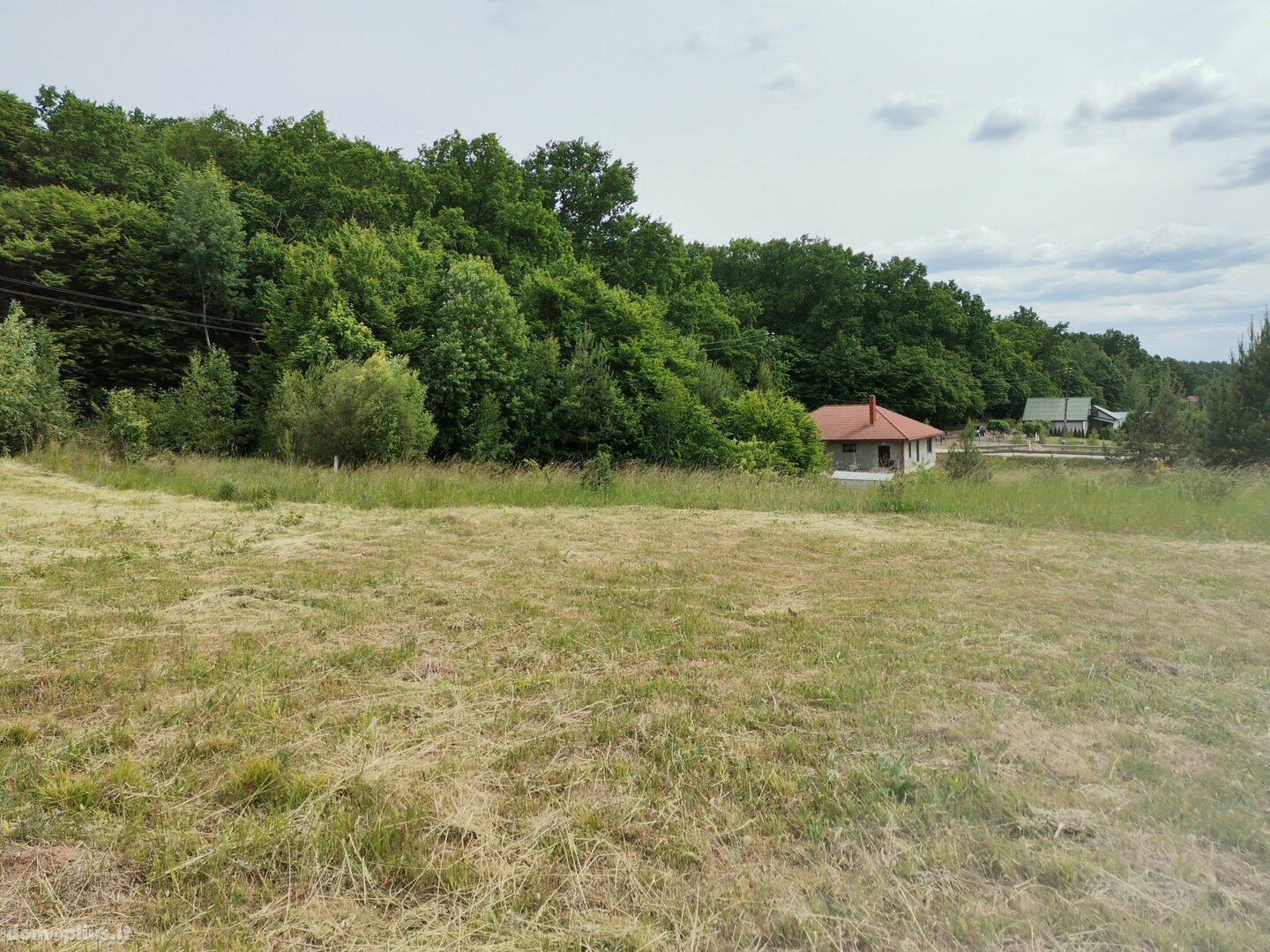 Land for sale Alytuje, Vidzgiryje, Kurpių g.