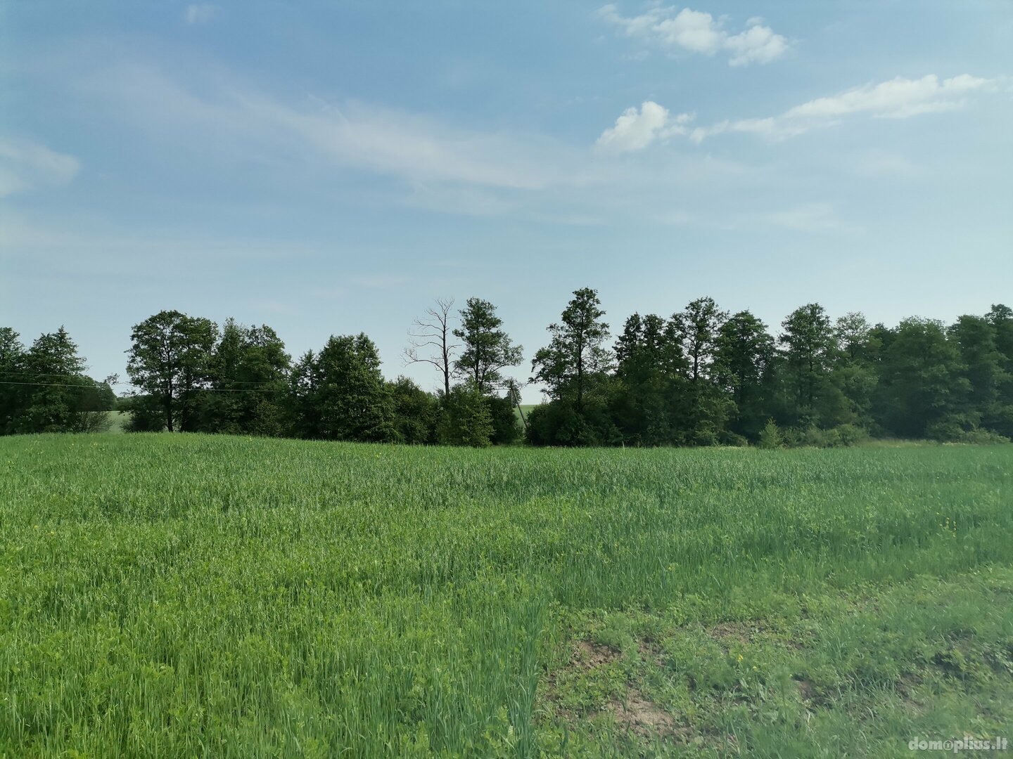 Parduodamas sklypas Alytaus rajono sav., Maslaučiškėse, Beržų g.