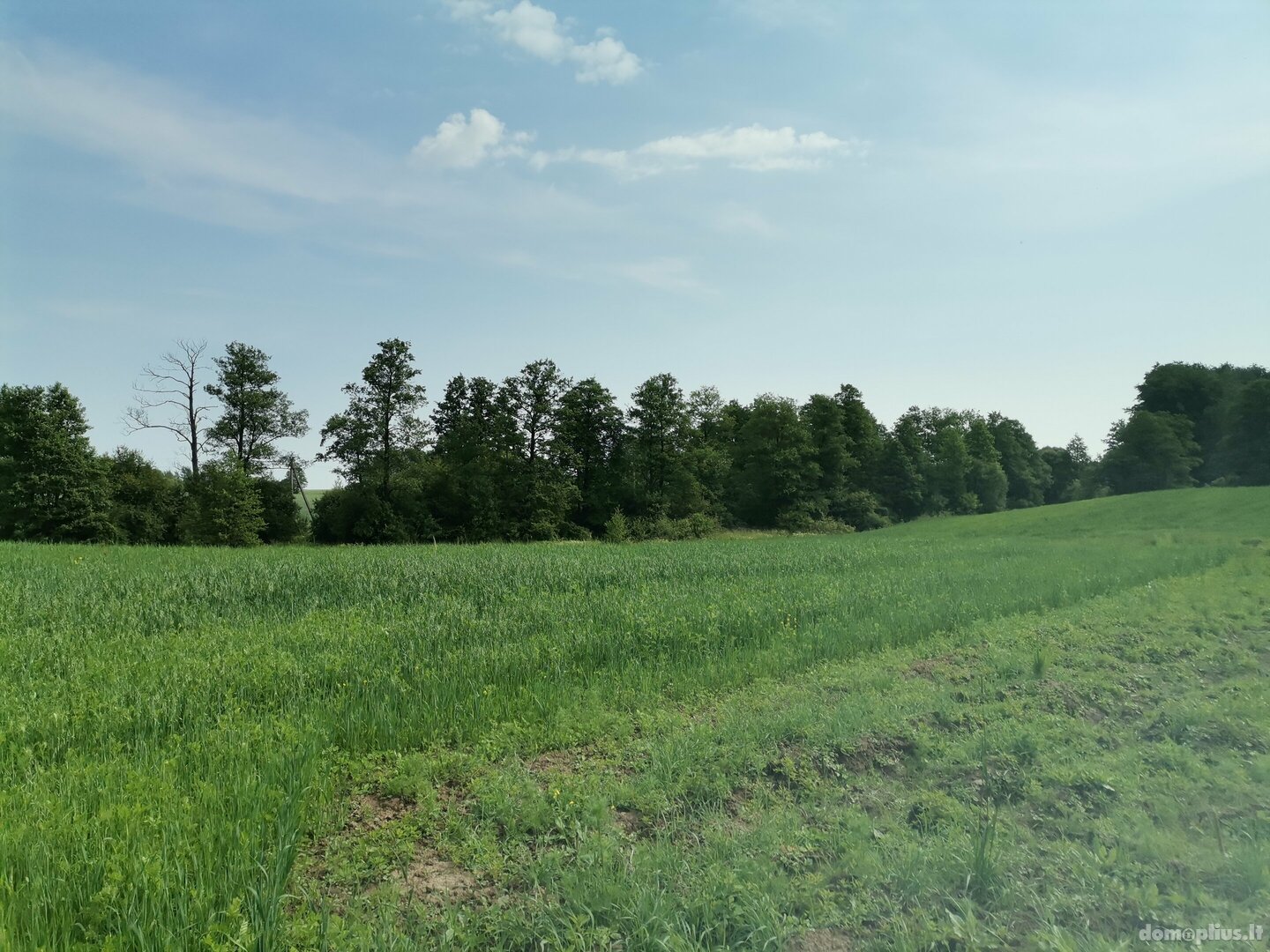 Land for sale Alytaus rajono sav., Maslaučiškėse, Beržų g.