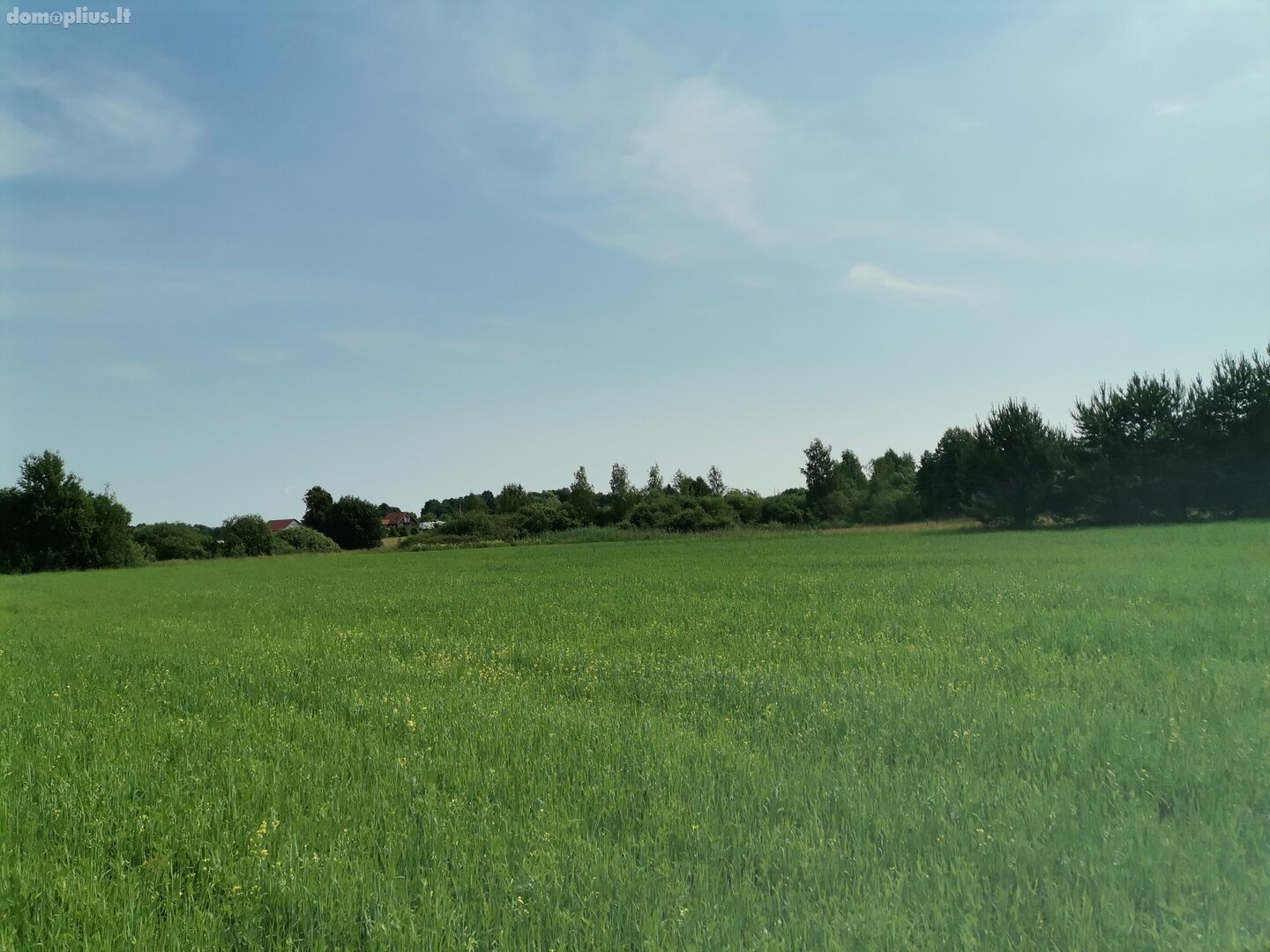 Parduodamas sklypas Alytaus rajono sav., Maslaučiškėse, Beržų g.