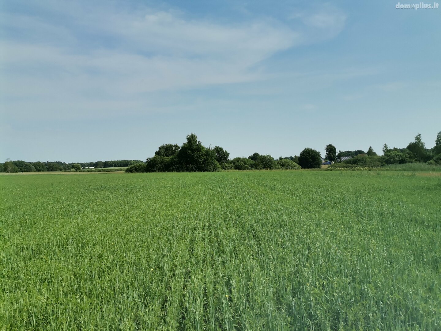 Parduodamas sklypas Alytaus rajono sav., Maslaučiškėse, Beržų g.