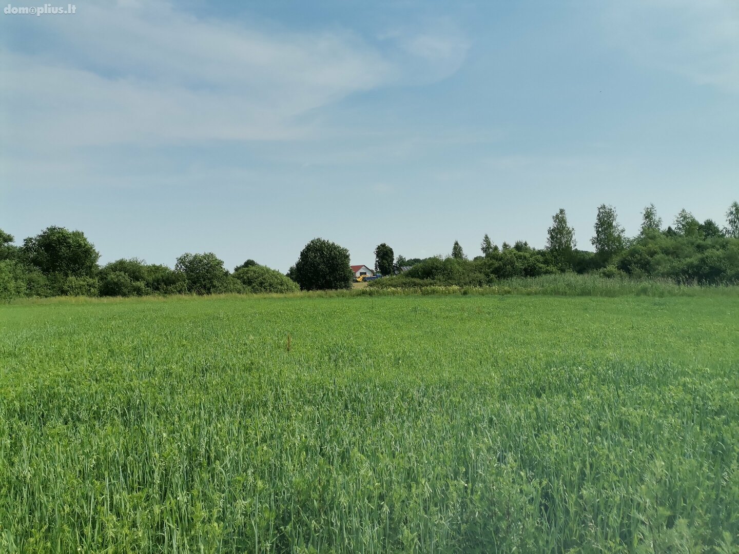 Parduodamas sklypas Alytaus rajono sav., Maslaučiškėse, Beržų g.