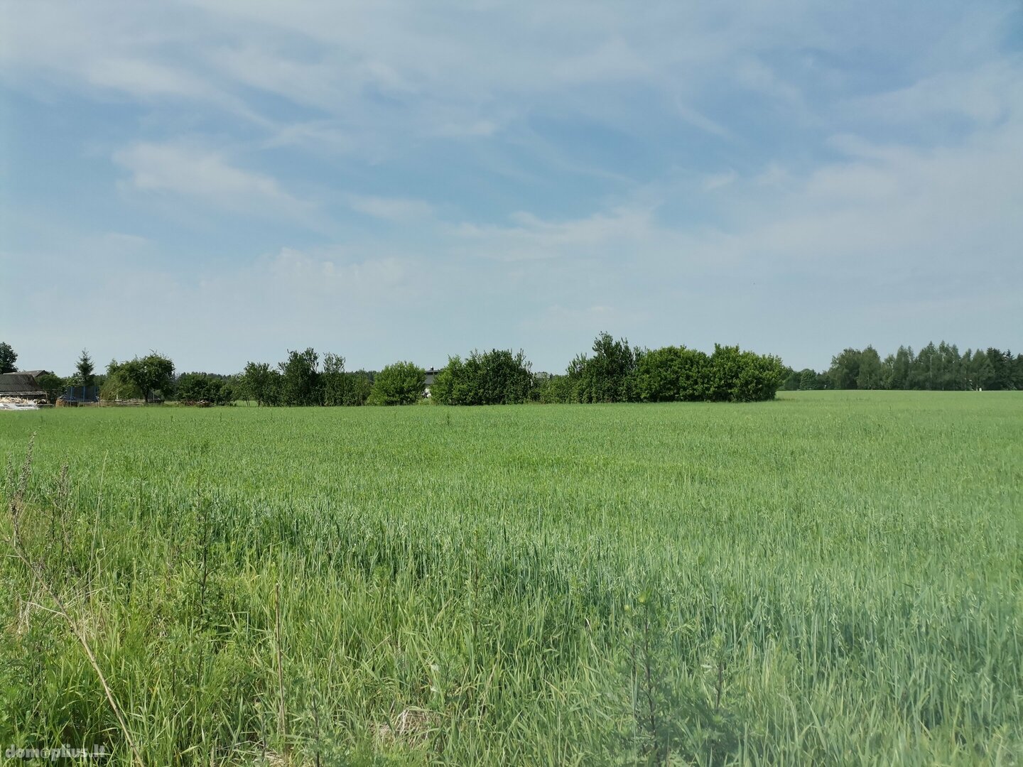 Parduodamas sklypas Alytaus rajono sav., Maslaučiškėse, Beržų g.