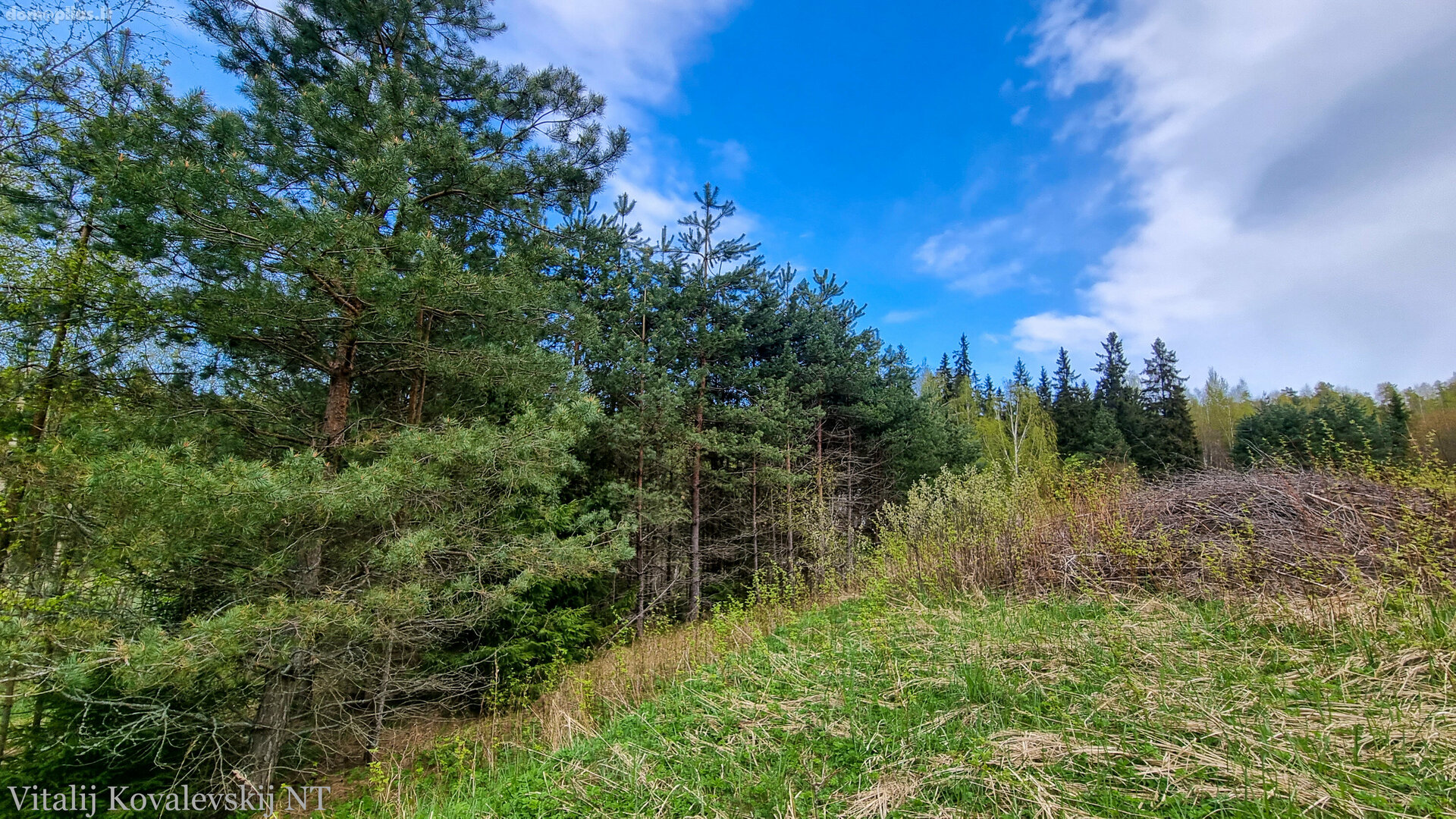 Parduodamas sklypas Šiaulių rajono sav., Paraudžiuose