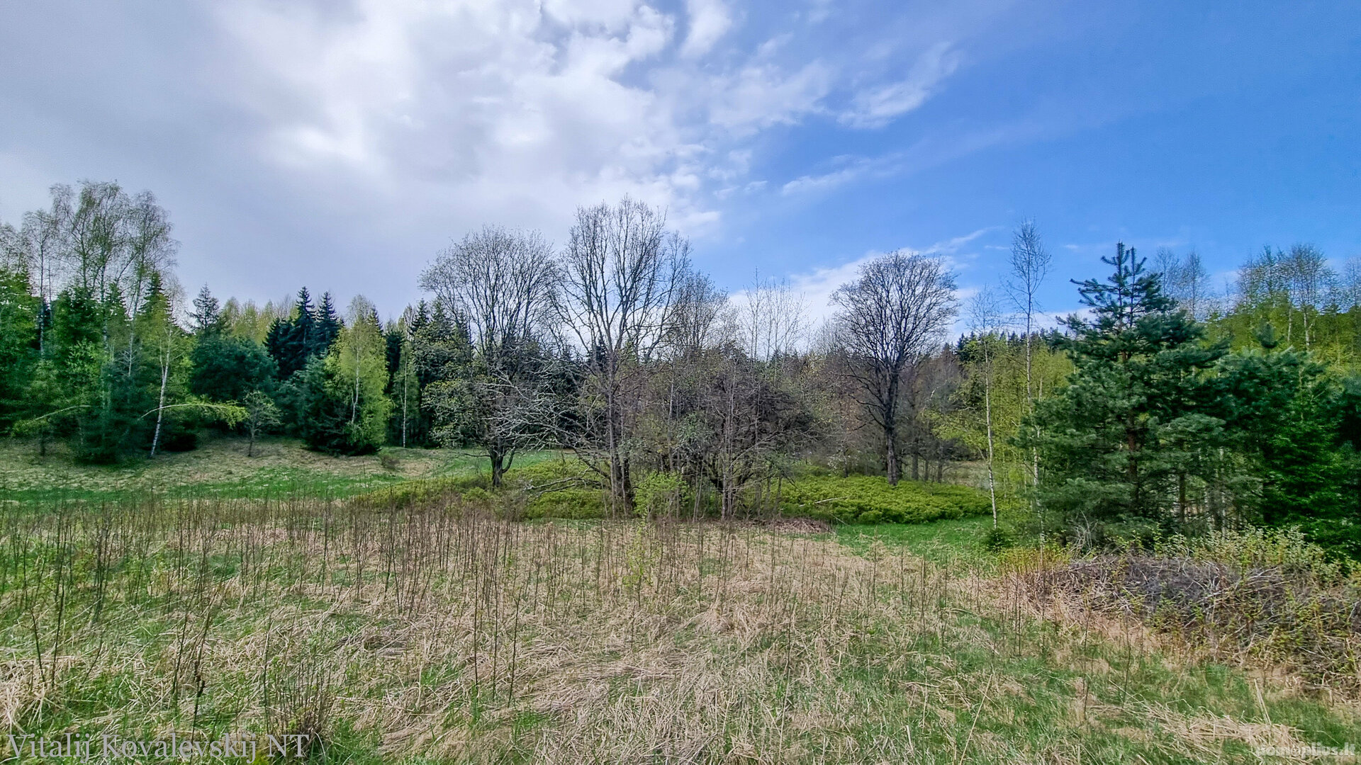 Parduodamas sklypas Šiaulių rajono sav., Paraudžiuose