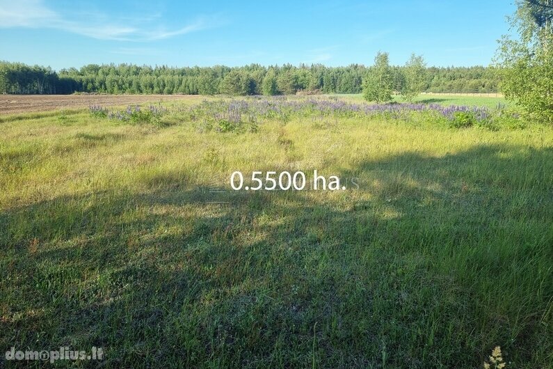 Land for sale Vilniaus rajono sav., Parudaminyse, Jano Korfo g.