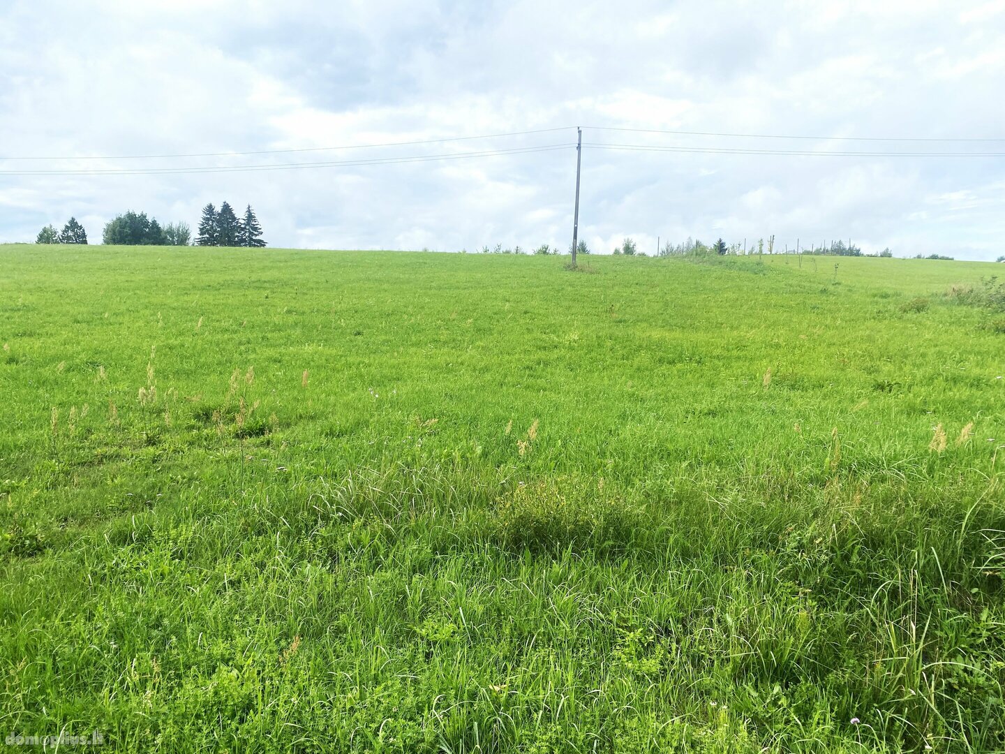 Участок Utenos rajono sav., Sudeikiuose, Pakrantės g.