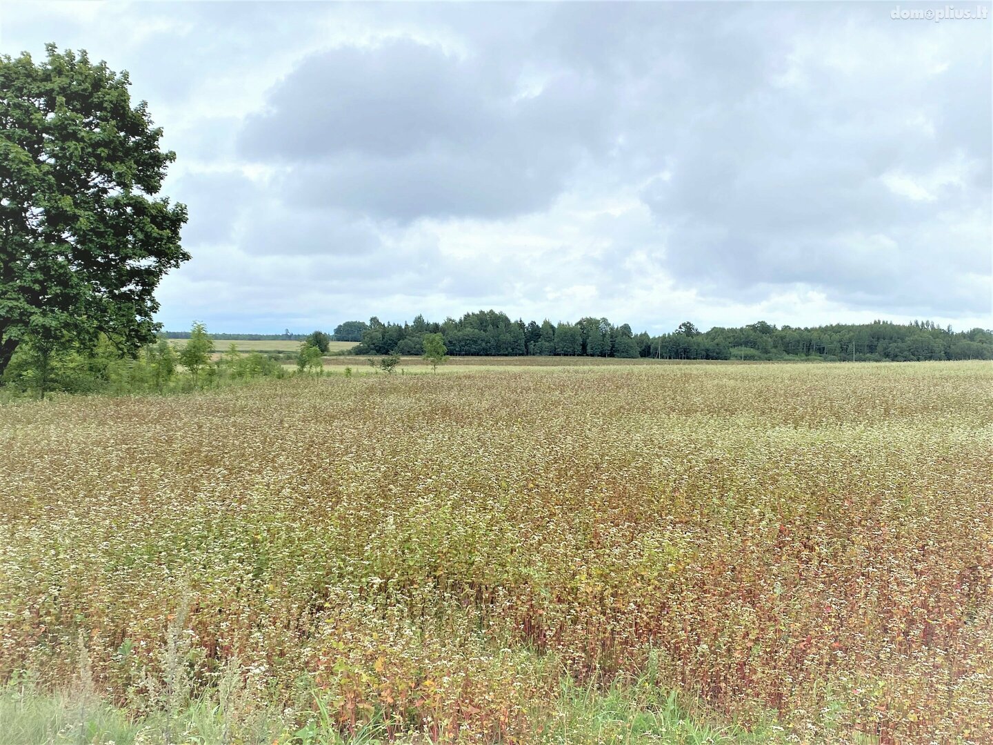 Участок Šiaulių rajono sav., Šemetiškiuose