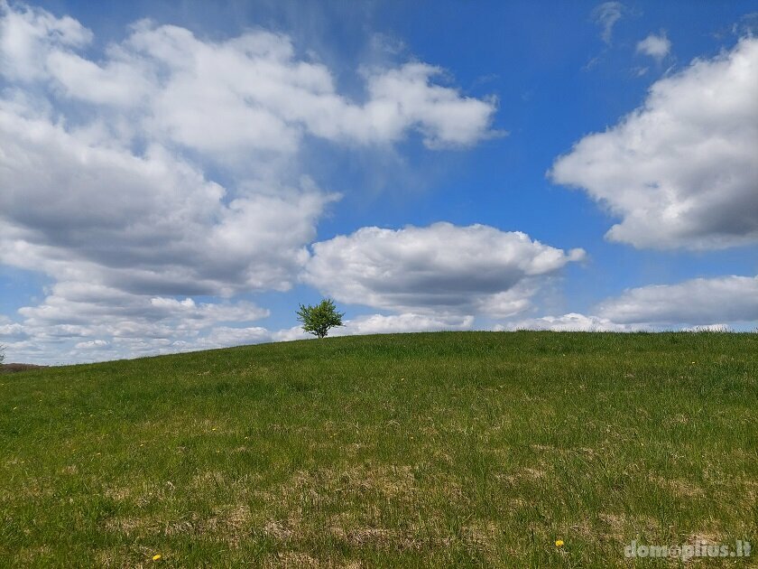 Parduodamas sklypas Zarasų rajono sav., Šapaukoje