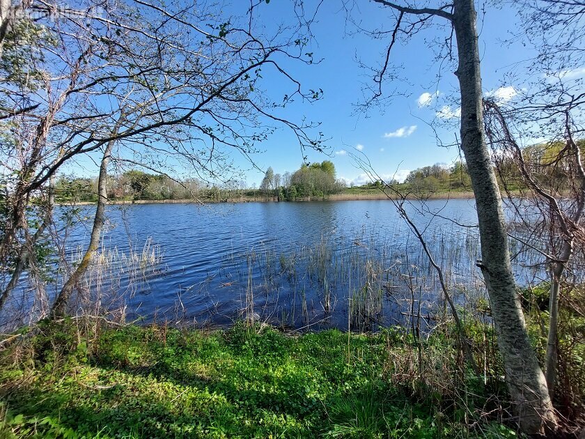 Parduodamas sklypas Utenos rajono sav., Biliakiemyje