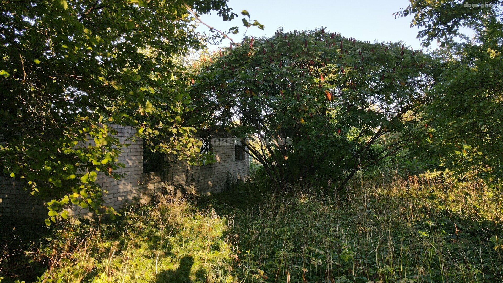 Parduodamas sklypas Prienų rajono sav., Pakuonyje