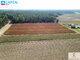 Land for sale Vilniaus rajono sav. (3 picture)