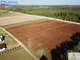 Land for sale Vilniaus rajono sav. (6 picture)