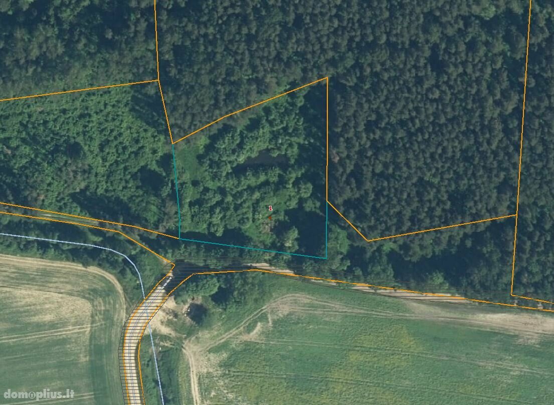 Parduodamas sklypas Panevėžio rajono sav., Gėlainiuose