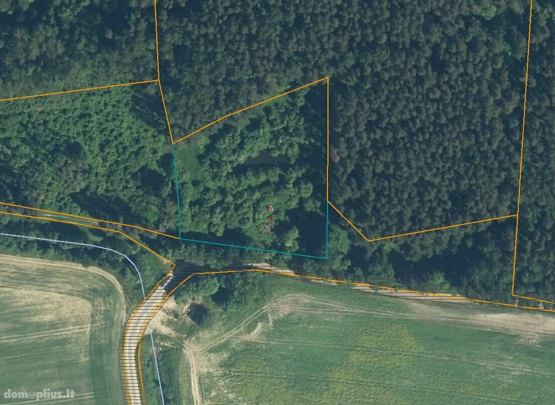 Land for sale Panevėžio rajono sav., Gėlainiuose