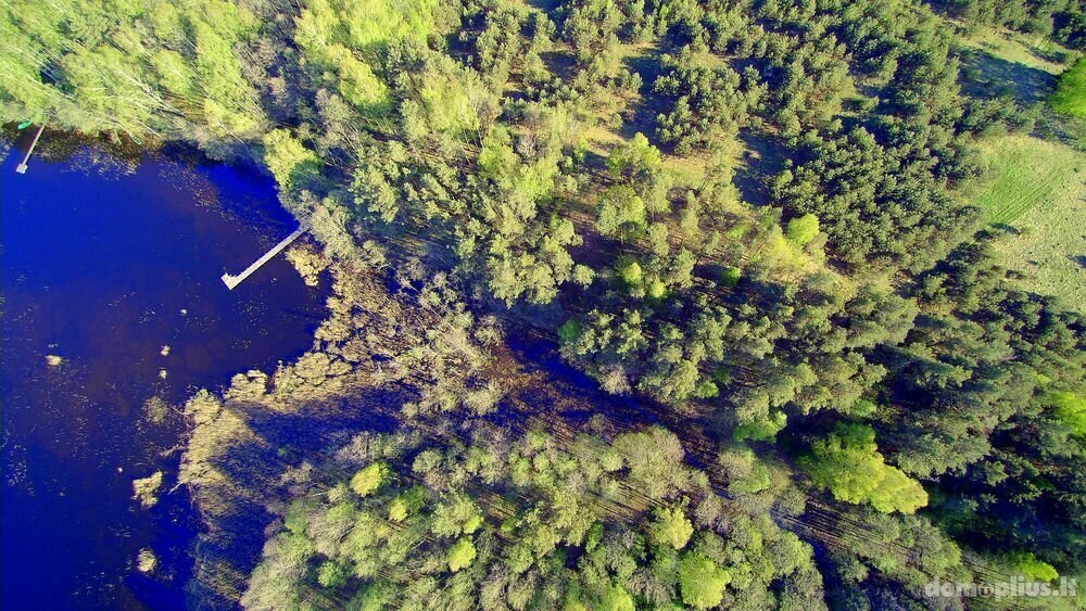 Parduodamas sklypas Molėtų rajono sav., Kaulakiuose