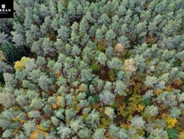 Parduodamas sklypas Trakų rajono sav., Senasis Tarpupis