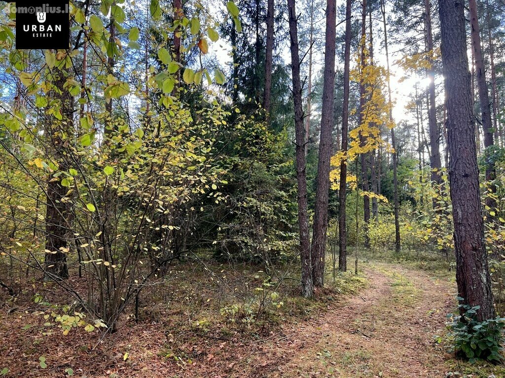 Parduodamas sklypas Trakų rajono sav., Senasis Tarpupis
