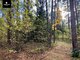 Land for sale Trakų rajono sav., Senasis Tarpupis (8 picture)