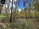 Land for sale Trakų rajono sav., Senasis Tarpupis (9 picture)