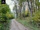 Land for sale Trakų rajono sav., Senasis Tarpupis (12 picture)