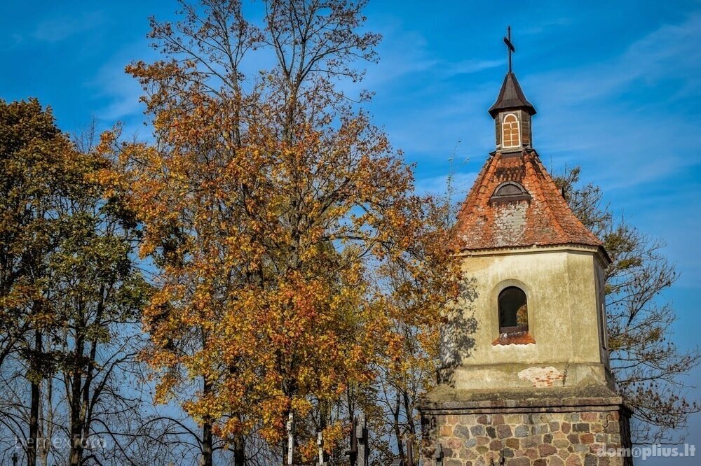 Parduodamas sklypas Vilniaus rajono sav., Žemaguliuose