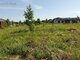 Land for sale Panevėžio rajono sav., Dembavoje, Ryto g. (5 picture)
