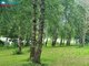 Land for sale Kretingos rajono sav., Rūdaičiuose, Parko g. (11 picture)