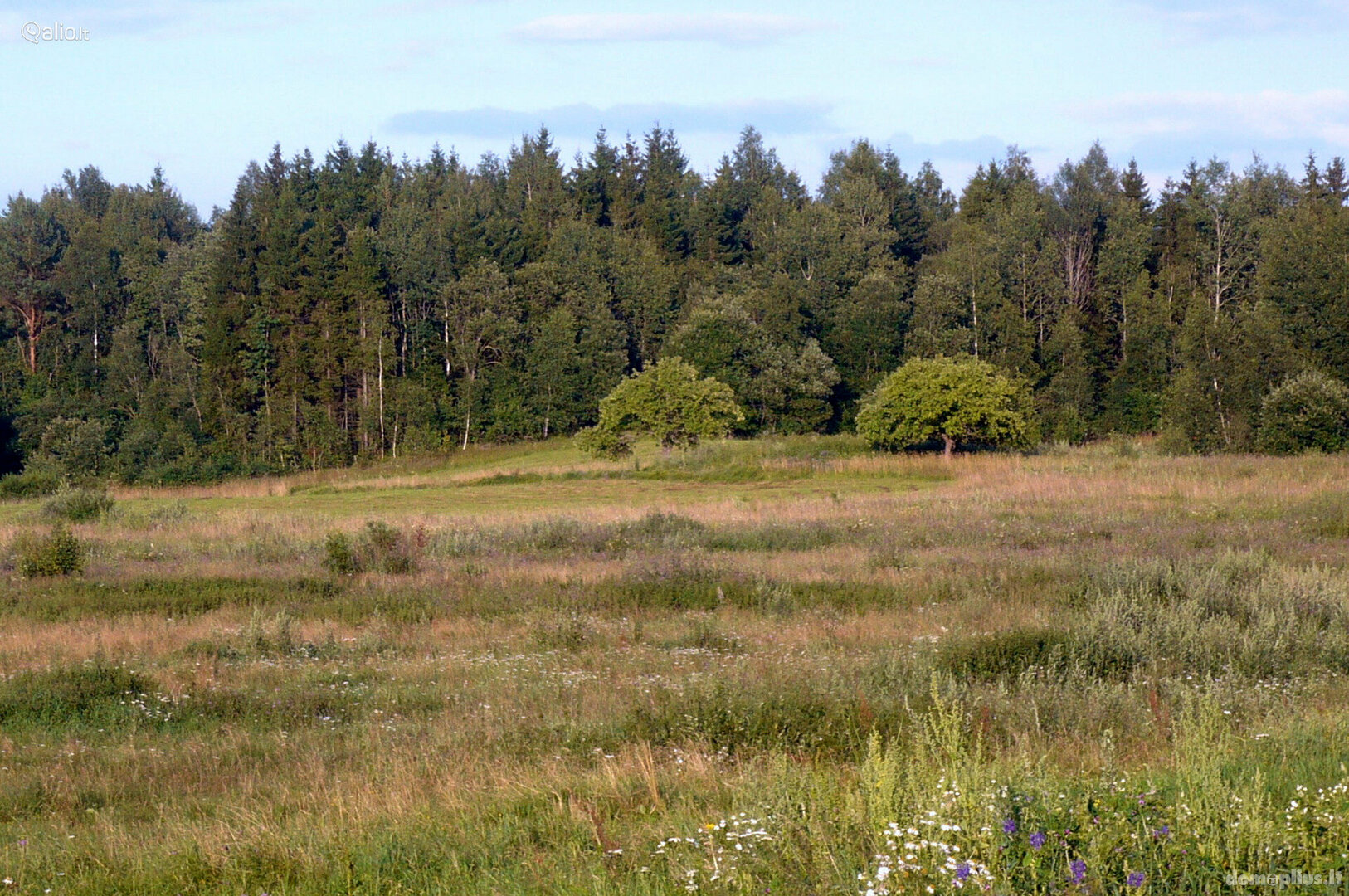 Parduodamas sklypas Vilniaus rajono sav., Barliškėse