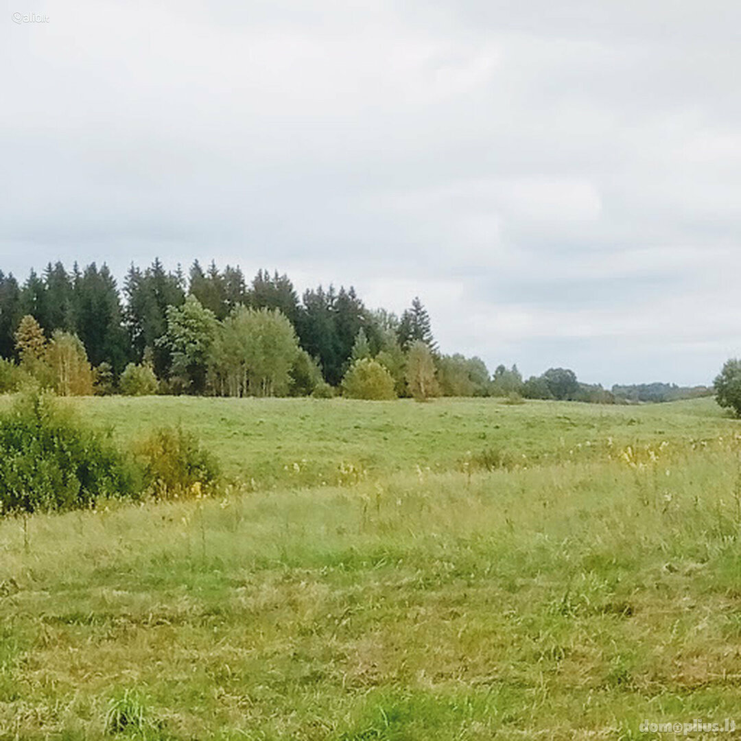Участок Vilniaus rajono sav., Barliškėse