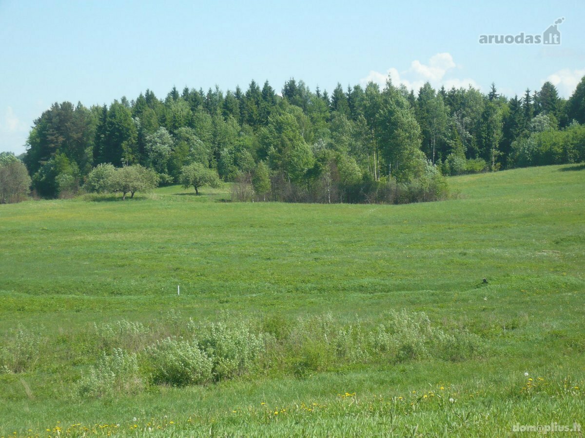 Участок Vilniaus rajono sav., Barliškėse