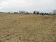 Land for sale Utenos rajono sav., Mockėnuose (3 picture)