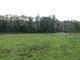 Land for sale Utenos rajono sav., Gaspariškiuose (4 picture)