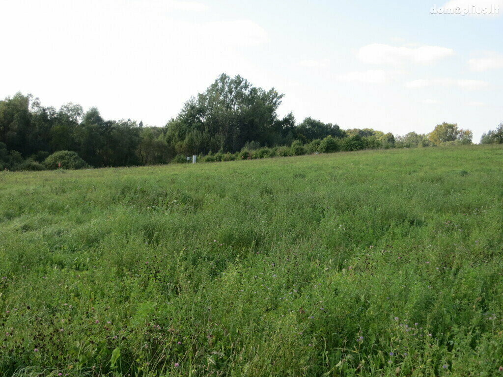 Parduodamas sklypas Utenos rajono sav., Gaspariškiuose