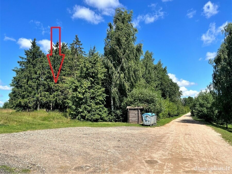 Land for sale Kupiškio rajono sav., Kunigiškyje