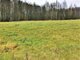 Land for sale Utenos rajono sav. (9 picture)