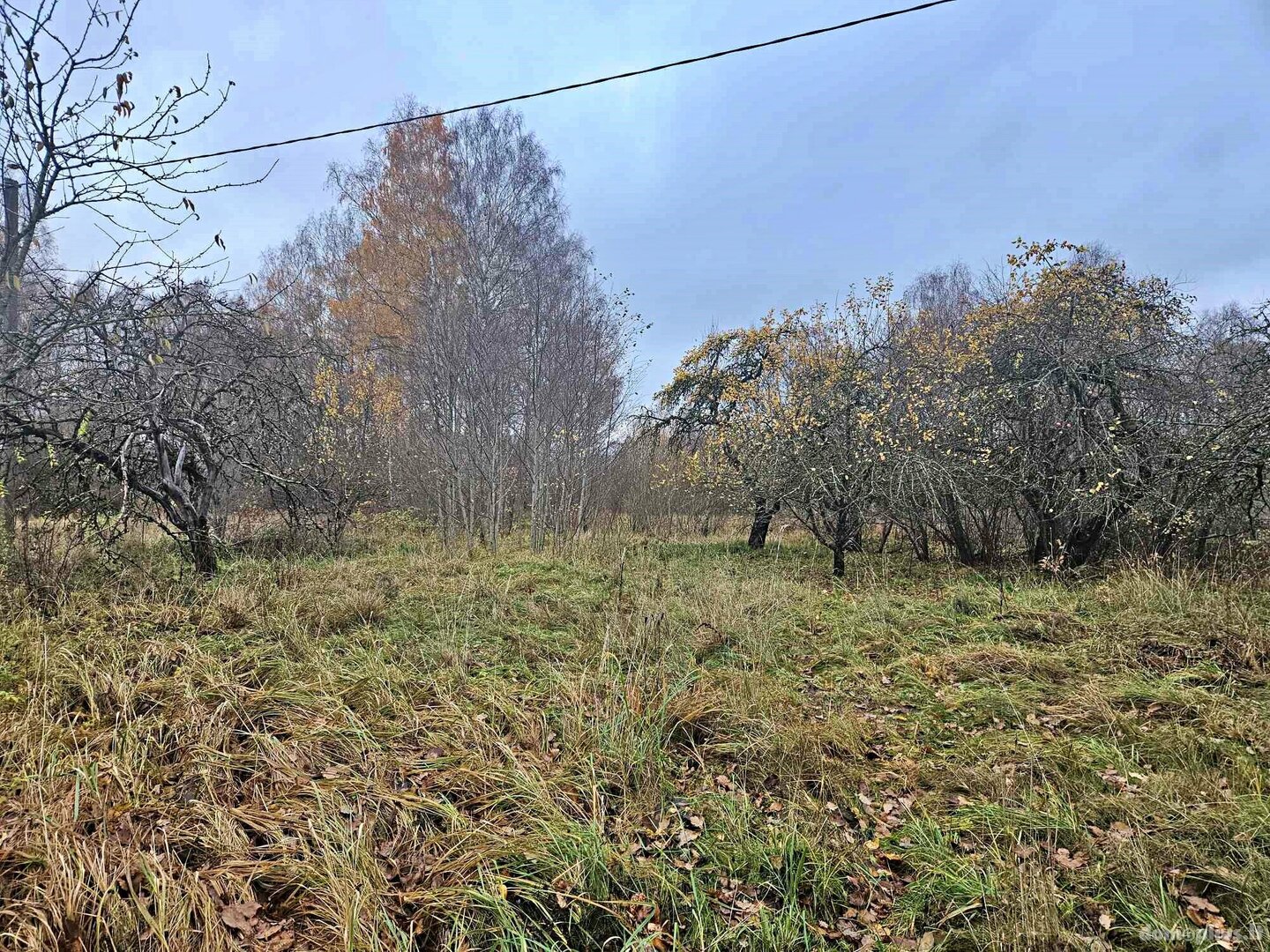Land for sale Rokiškio rajono sav., Rokiškyje, Panevėžio g.