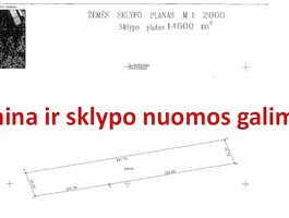 Sklypas Vilnius, Guobos