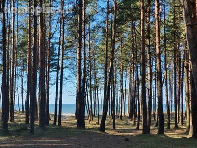 Parduodamas sklypas Klaipėdos rajono sav., Karklėje