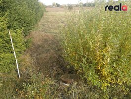 Land for sale Alytaus rajono sav., Užubaliuose