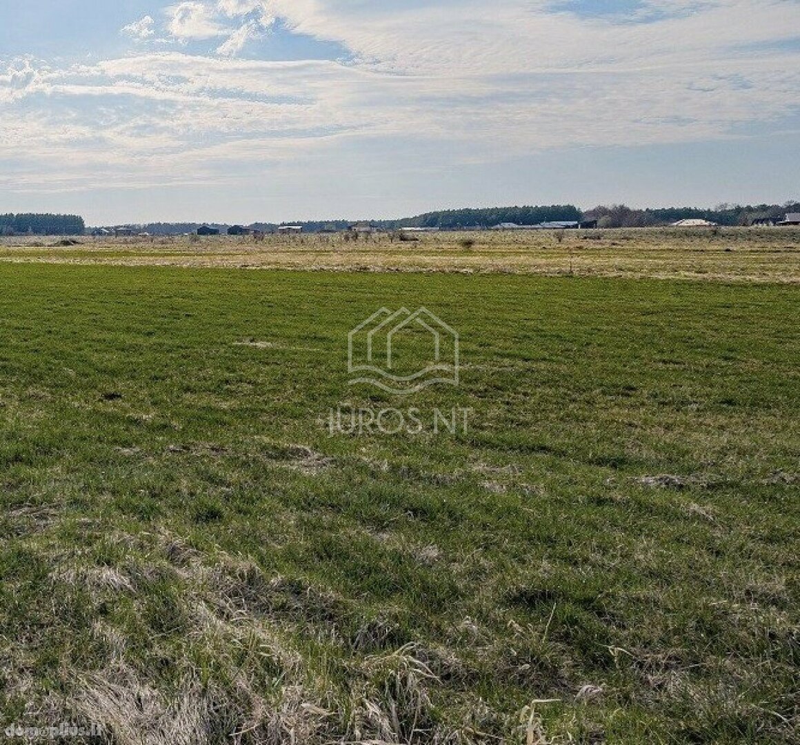 Участок Palangoje, Gluosnių g.