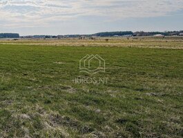 Участок Palangoje, Gluosnių g.