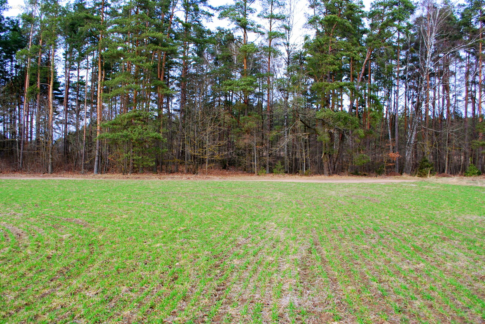 Land for sale Kauno rajono sav., Gaižėnuose, Gaižėnų g.