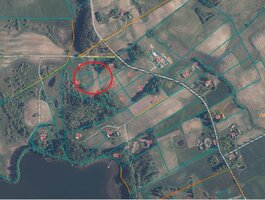 Parduodamas sklypas Varėnos rajono sav., Andriūnuose, Lelijų g.